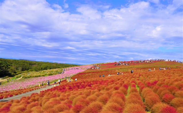 茨城県のホームページ制作会社おすすめ8選を比較！特徴や選び方も解説【2023年5月最新】